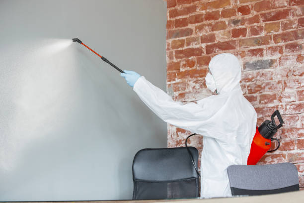 Best Post-Remediation Verification Testing  in Buckley, WA