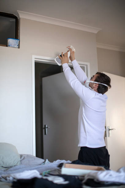 Best Basement Mold Removal  in Buckley, WA