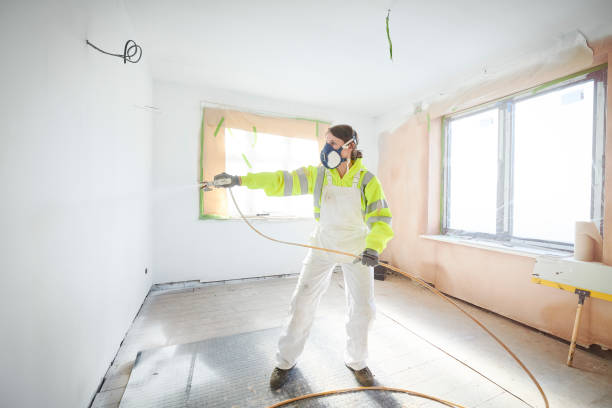 Best Water Damage & Mold Remediation  in Buckley, WA