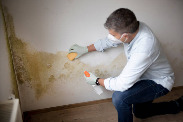 Best Industrial Mold Remediation  in Buckley, WA