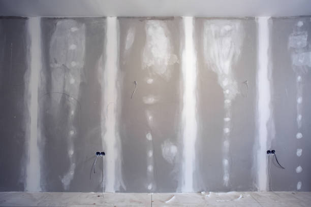 Best Asbestos and Lead Testing During Mold Inspection  in Buckley, WA